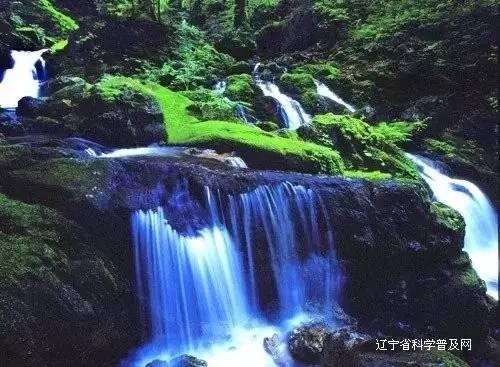 小猫钓鱼游戏龙王版有船